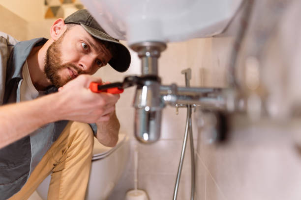 Best Same-Day Plumbing Service  in Bellevue, IL