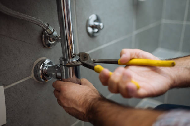 Best Sewer Line Repair  in Bellevue, IL