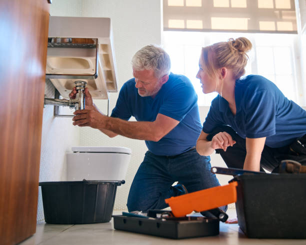 Boilers & Radiators in Bellevue, IL
